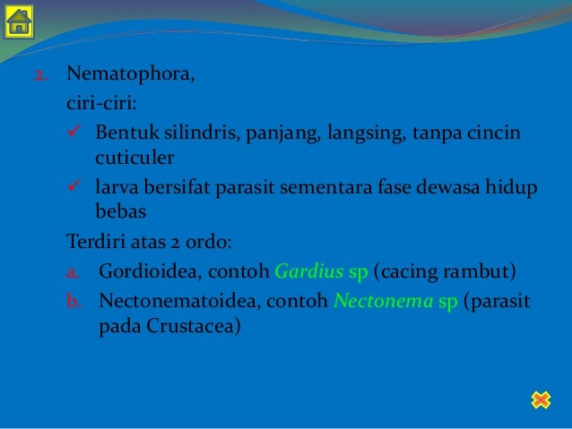 Nemathelminthes