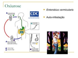 Oxiurose Enterobius vermicularis Auto-infestação 