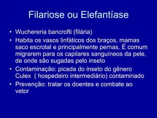 Filariose ou Elefantíase Wuchereria bancrofti (filária) Habita os vasos linfáticos dos braços, mamas saco escrotal e principalmente pernas. É comum migrarem para os capilares sanguíneos da pele, de onde são sugadas pelo inseto Contaminação: picada do inseto do gênero Culex  ( hospedeiro intermediário) contaminado Prevenção: tratar os doentes e combate ao vetor 
