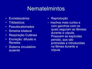 Nematelmintos Eumetazoários Triblasticos Pseudocelomados Simetria bilateral Respiração Cutânea Excreção: difusão e Renetes Sistema circulatório ausente Reprodução -  machos mais curtos e com ganchos com os quais seguram as fêmeas durante a cópula. Possuem as espículas peniais, que são protraídas e introduzidas na fêmea durante a cópula 