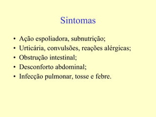 Sintomas Ação espoliadora, subnutrição; Urticária, convulsões, reações alérgicas; Obstrução intestinal; Desconforto abdominal; Infecção pulmonar, tosse e febre. 