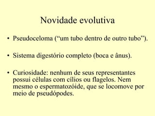 Novidade evolutiva Pseudoceloma (“um tubo dentro de outro tubo”). Sistema digestório completo (boca e ânus). Curiosidade: nenhum de seus representantes possui células com cílios ou flagelos. Nem mesmo o espermatozóide, que se locomove por meio de pseudópodes. 