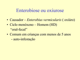 Enterobiose ou oxiurose Causador –  Enterobius vermicularis  ( oxiúro)  Ciclo monóxeno – Homem (HD) “ oral-fecal” Comum em crianças com menos de 5 anos  - auto-infestação 