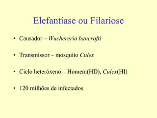 Elefantíase ou Filariose Causador –  Wuchereria bancrofti Transmissor – mosquito  Culex Ciclo heteróxeno – Homem(HD),  Culex (HI) 120 milhões de infectados 