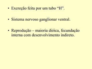 Excreção feita por um tubo “H”. Sistema nervoso ganglionar ventral. Reprodução – maioria dióica, fecundação interna com desenvolvimento indireto. 