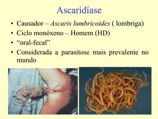 Ascaridíase Causador –  Ascaris lumbricoides  ( lombriga) Ciclo monóxeno – Homem (HD) “ oral-fecal” Considerada a parasitose mais prevalente no mundo  