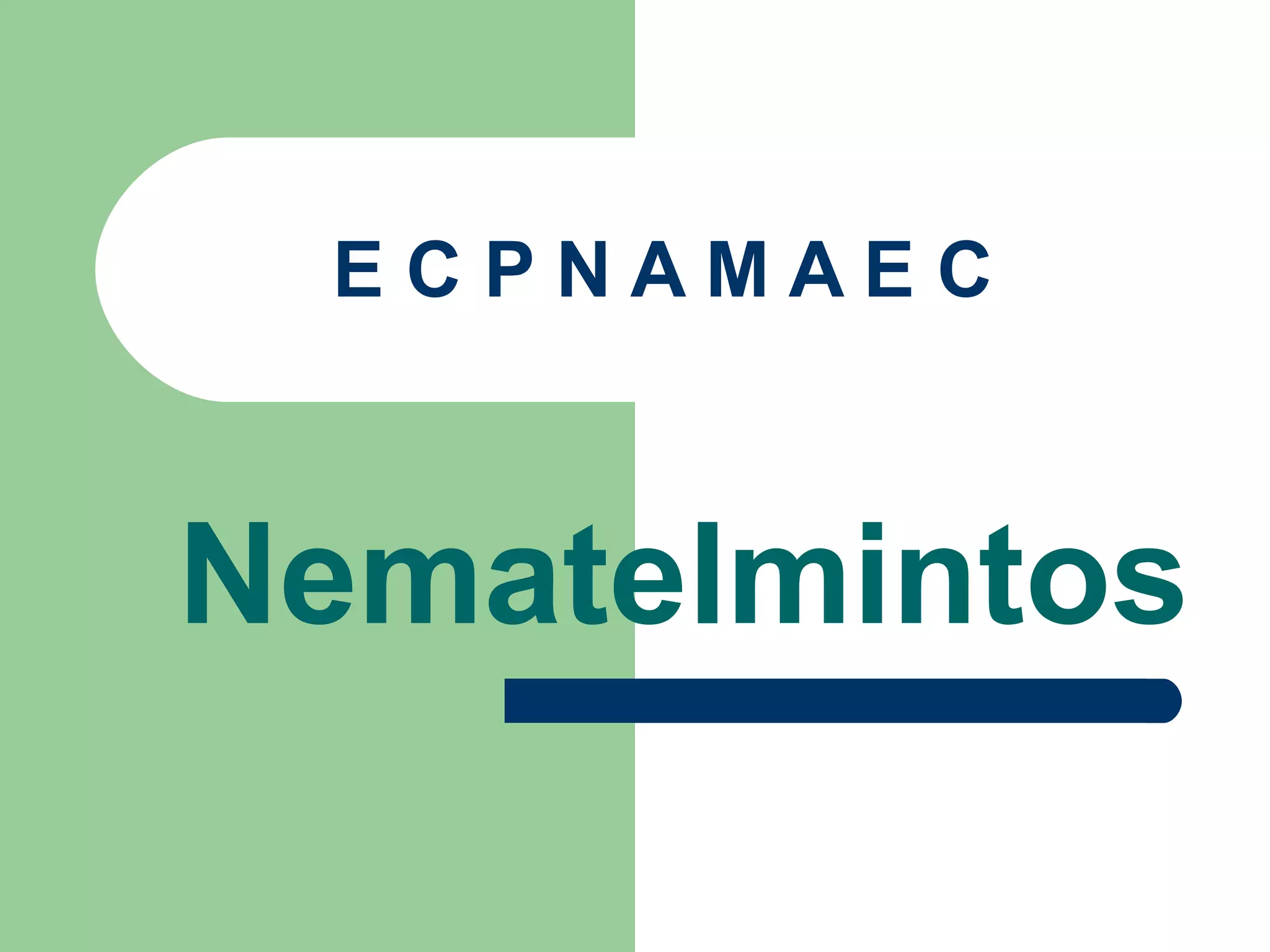 E C P N A M A E C Nematelmintos