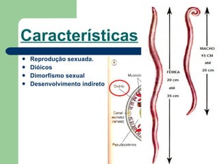 Características Reprodução sexuada.  Dióicos  Dimorfismo sexual  Desenvolvimento indireto 