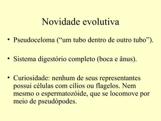 Novidade evolutiva
• Pseudoceloma (“um tubo dentro de outro tubo”).

• Sistema digestório completo (boca e ânus).

• Curiosidade: nenhum de seus representantes
  possui células com cílios ou flagelos. Nem
  mesmo o espermatozóide, que se locomove por
  meio de pseudópodes.
 