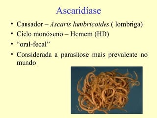Ascaridíase
•   Causador – Ascaris lumbricoides ( lombriga)
•   Ciclo monóxeno – Homem (HD)
•   “oral-fecal”
•   Considerada a parasitose mais prevalente no
    mundo
 