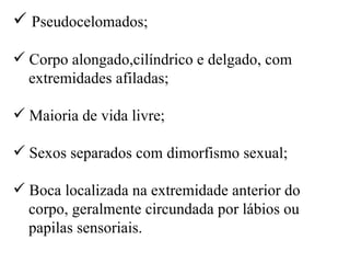  Pseudocelomados;

 Corpo alongado,cilíndrico e delgado, com
  extremidades afiladas;

 Maioria de vida livre;

 Sexos separados com dimorfismo sexual;

 Boca localizada na extremidade anterior do
  corpo, geralmente circundada por lábios ou
  papilas sensoriais.
 
