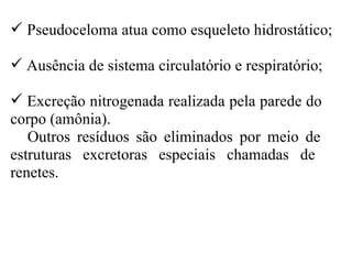  Pseudoceloma atua como esqueleto hidrostático;

 Ausência de sistema circulatório e respiratório;

 Excreção nitrogenada realizada pela parede do
corpo (amônia).
   Outros resíduos são eliminados por meio de
estruturas excretoras especiais chamadas de
renetes.
 