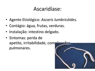 Ascaridíase:
•   Agente Etiológico: Ascaris lumbricóides.
•   Contágio: água, frutas, verduras.
•   Instalação: intestino delgado.
•   Sintomas: perda de
    apetite, irritabilidade, complicações
    pulmonares.
 