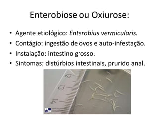 Enterobiose ou Oxiurose:
•   Agente etiológico: Enterobius vermicularis.
•   Contágio: ingestão de ovos e auto-infestação.
•   Instalação: intestino grosso.
•   Sintomas: distúrbios intestinais, prurido anal.
 