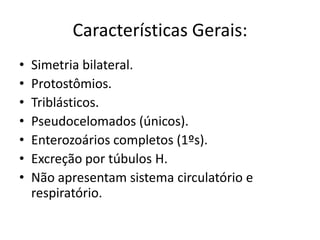Características Gerais:
•   Simetria bilateral.
•   Protostômios.
•   Triblásticos.
•   Pseudocelomados (únicos).
•   Enterozoários completos (1ºs).
•   Excreção por túbulos H.
•   Não apresentam sistema circulatório e
    respiratório.
 