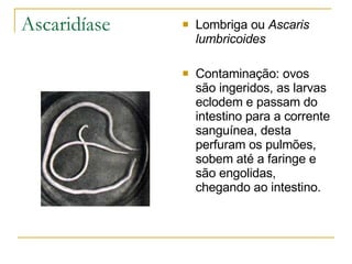 Ascaridíase Lombriga ou  Ascaris lumbricoides Contaminação: ovos são ingeridos, as larvas eclodem e passam do intestino para a corrente sanguínea, desta perfuram os pulmões, sobem até a faringe e são engolidas, chegando ao intestino. 