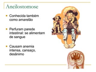 Ancilostomose Conhecida também como amarelão Perfuram parede intestinal: se alimentam de sangue Causam anemia intensa, cansaço, desânimo 