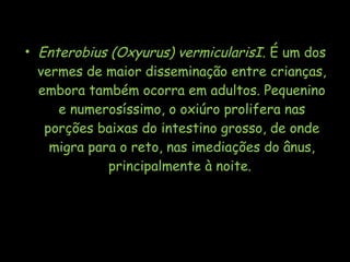 • Enterobius (Oxyurus) vermicularisI. É um dos
vermes de maior disseminação entre crianças,
embora também ocorra em adultos. Pequenino
e numerosíssimo, o oxiúro prolifera nas
porções baixas do intestino grosso, de onde
migra para o reto, nas imediações do ânus,
principalmente à noite.
 