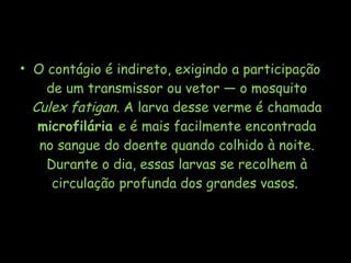 • O contágio é indireto, exigindo a participação
de um transmissor ou vetor — o mosquito
Culex fatigan. A larva desse verme é chamada
microfilária e é mais facilmente encontrada
no sangue do doente quando colhido à noite.
Durante o dia, essas larvas se recolhem à
circulação profunda dos grandes vasos.
 