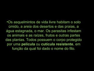 •Os asquelmintos de vida livre habitam o solo
úmido, a areia dos desertos e das praias, a
água estagnada, o mar. Os parasitas infestam
os animais e as raízes, frutos e outras partes
das plantas. Todos possuem o corpo protegido
por uma película ou cutícula resistente, em
função da qual foi dado o nome do filo.
 