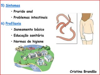 5) Sintomas
• Prurido anal
• Problemas intestinais
6) Profilaxia
• Saneamento básico
• Educação sanitária
• Normas de higiene
Cristina Brandão
 
