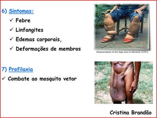 6) Sintomas:
 Febre
 Linfangites
 Edemas corporais,
 Deformações de membros
7) Profilaxia
 Combate ao mosquito vetor
Cristina Brandão
 