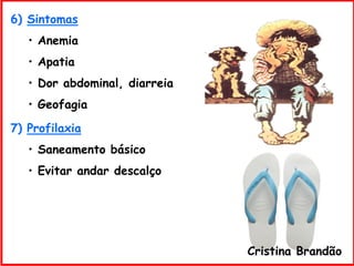 6) Sintomas
• Anemia
• Apatia
• Dor abdominal, diarreia
• Geofagia
7) Profilaxia
• Saneamento básico
• Evitar andar descalço
Cristina Brandão
 