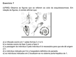 Exercício 7
(UFMG) Observe as figuras que se referem ao ciclo da esquistossomose. Em
relação às figuras, é correto afirmar que:
a) a infecção ocorre em 1 pelas formas 3, 4 e 5.
b) a meiose ocorre da fase 3 para a fase 4.
c) a passagem do indivíduo 5 pelo indivíduo 6 é necessária para que ele dê origem
a 4.
d) o indivíduo indicado por 6 é o hospedeiro definitivo do parasito.
e) os indivíduos indicados em 2 localizam-se no sistema porta-hepático de 1.
 