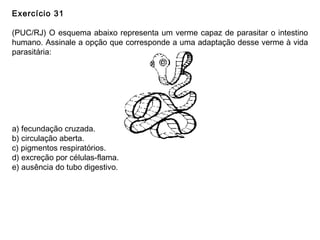 Exercício 31
(PUC/RJ) O esquema abaixo representa um verme capaz de parasitar o intestino
humano. Assinale a opção que corresponde a uma adaptação desse verme à vida
parasitária:
a) fecundação cruzada.
b) circulação aberta.
c) pigmentos respiratórios.
d) excreção por células-flama.
e) ausência do tubo digestivo.
 