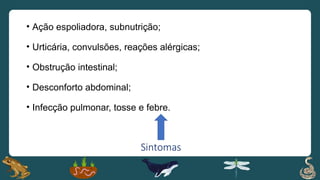 Sintomas
• Ação espoliadora, subnutrição;
• Urticária, convulsões, reações alérgicas;
• Obstrução intestinal;
• Desconforto abdominal;
• Infecção pulmonar, tosse e febre.
 