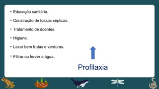 Profilaxia
• Educação sanitária.
• Construção de fossas sépticas.
• Tratamento de doentes.
• Higiene.
• Lavar bem frutas e verduras.
• Filtrar ou ferver a água.
 