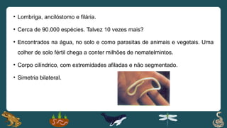 • Lombriga, ancilóstomo e filária.
• Cerca de 90.000 espécies. Talvez 10 vezes mais?
• Encontrados na água, no solo e como parasitas de animais e vegetais. Uma
colher de solo fértil chega a conter milhões de nematelmintos.
• Corpo cilíndrico, com extremidades afiladas e não segmentado.
• Simetria bilateral.
 