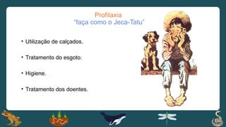 Profilaxia
“faça como o Jeca-Tatu”
• Utilização de calçados.
• Tratamento do esgoto.
• Higiene.
• Tratamento dos doentes.
 