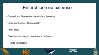 Enterobiose ou oxiurose
• Causador – Enterobius vermicularis ( oxiúro)
• Ciclo monóxeno – Homem (HD)
“oral-fecal”
• Comum em crianças com menos de 5 anos
- auto-infestação
 