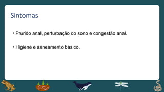 Sintomas
• Prurido anal, perturbação do sono e congestão anal.
• Higiene e saneamento básico.
 