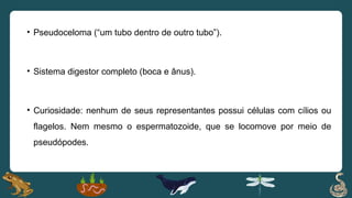 • Pseudoceloma (“um tubo dentro de outro tubo”).
• Sistema digestor completo (boca e ânus).
• Curiosidade: nenhum de seus representantes possui células com cílios ou
flagelos. Nem mesmo o espermatozoide, que se locomove por meio de
pseudópodes.
 
