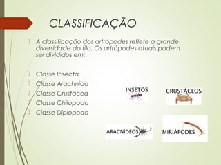 CLASSIFICAÇÃO
 A classificação dos artrópodes reflete a grande
diversidade do filo. Os artrópodes atuais podem
ser divididos em:
 Classe Insecta
 Classe Arachnida
 Classe Crustacea
 Classe Chilopoda
 Classe Diplopoda
 