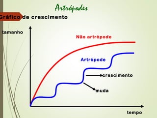 Gráfico de crescimento
tamanho
tempo
Não artrópode
Artrópode
muda
crescimento
Artrópodes
 