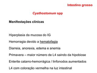 Cyathostomum spp
Manifestações clínicas
Hiperplasia da mucosa do IG
Hemorragia devido a hematofagia
Diarreia, anorexia, edema e anemia
Primavera – maior número de L4 saindo da hipobiose
Enterite catarro-hemorrágica / linfonodos aumentados
L4 com coloração vermelha na luz intestinal
Intestino grosso
 