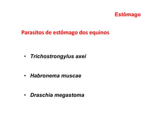 Parasitos de estômago dos equinos
• Trichostrongylus axei
• Habronema muscae
• Draschia megastoma
Estômago
 