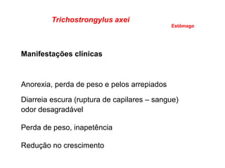 Trichostrongylus axei
Manifestações clínicas
Anorexia, perda de peso e pelos arrepiados
Diarreia escura (ruptura de capilares – sangue)
odor desagradável
Perda de peso, inapetência
Redução no crescimento
Estômago
 