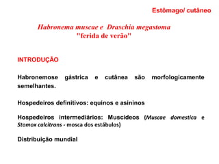 Habronema muscae e Draschia megastoma
"ferida de verão"
INTRODUÇÃO
Habronemose gástrica e cutânea são morfologicamente
semelhantes.
Hospedeiros definitivos: equinos e asininos
Hospedeiros intermediários: Muscídeos (Muscae domestica e
Stomox calcitrans - mosca dos estábulos)
Distribuição mundial
Estômago/ cutâneo
 