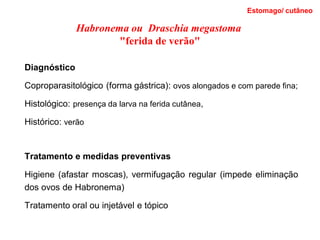 Diagnóstico
Coproparasitológico (forma gástrica): ovos alongados e com parede fina;
Histológico: presença da larva na ferida cutânea,
Histórico: verão
Tratamento e medidas preventivas
Higiene (afastar moscas), vermifugação regular (impede eliminação
dos ovos de Habronema)
Tratamento oral ou injetável e tópico
Estomago/ cutâneo
Habronema ou Draschia megastoma
"ferida de verão"
 