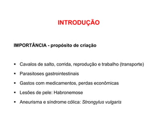 INTRODUÇÃO
IMPORTÂNCIA - propósito de criação
▪ Cavalos de salto, corrida, reprodução e trabalho (transporte)
▪ Parasitoses gastrointestinais
▪ Gastos com medicamentos, perdas econômicas
▪ Lesões de pele: Habronemose
▪ Aneurisma e síndrome cólica: Strongylus vulgaris
 