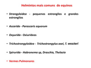 Helmintos mais comuns de equinos
• Strongyloidea - pequenos estrongilos e grandes
estrongilos
• Ascarida - Parascaris equorum
• Oxyurida - Oxiurideos
• Trichostrongyloidea - Trichostrongylus axei, T. westeri
• Spirurida - Habronema sp, Draschia, Thelazia
• Vermes Pulmonares
 