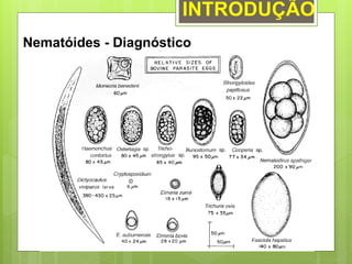 INTRODUÇÃO
Nematóides - Diagnóstico
 