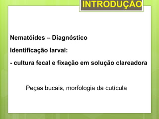 INTRODUÇÃO
Nematóides – Diagnóstico
Identificação larval:
- cultura fecal e fixação em solução clareadora
Peças bucais, morfologia da cutícula
 