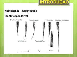 INTRODUÇÃO
Nematóides – Diagnóstico
Identificação larval
 