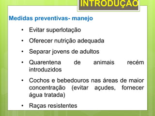 Medidas preventivas- manejo
• Evitar superlotação
• Oferecer nutrição adequada
• Separar jovens de adultos
• Quarentena de animais recém
introduzidos
• Cochos e bebedouros nas áreas de maior
concentração (evitar açudes, fornecer
água tratada)
• Raças resistentes
INTRODUÇÃO
 