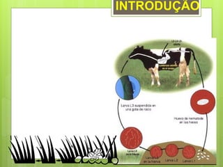 INTRODUÇÃO
 